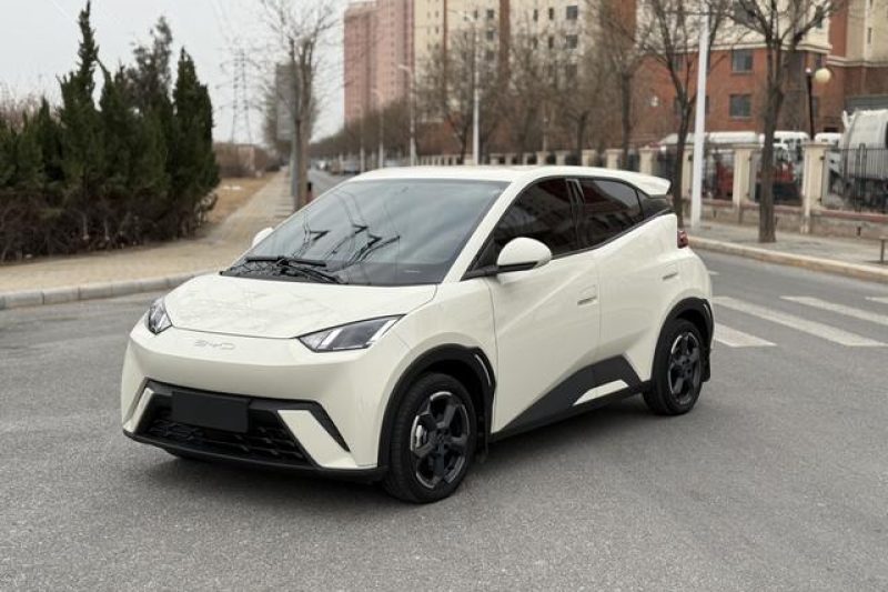 2023 BYD Seagull Экспорт подержанных автомобилей | Чисто электрический семейный автомобиль для поездок на работу Полный пакет документов, таможенное оформление доступно Популярен на Ближнем Востоке